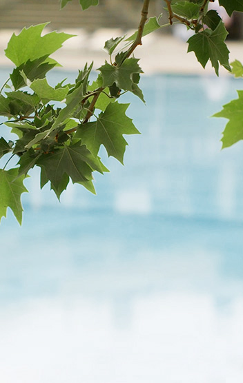 Lp header
