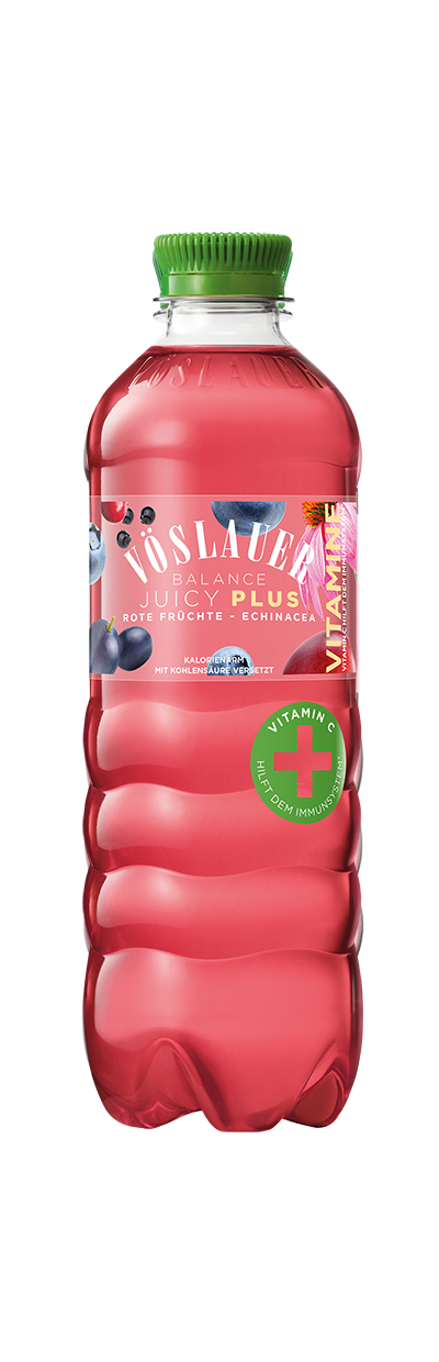 Produktabbildung AT-Juicy Plus Rote Früchte - Echinacea 0,5 l repet
