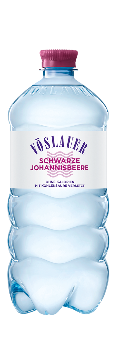 Produktabbildung DE-Schwarze Johannisbeere 1,0 l repet